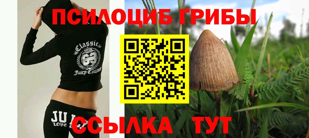 Псилоцибиновые грибы Cubensis Тихвин